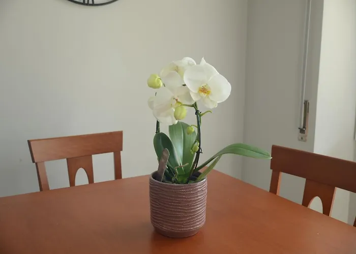 公寓 Regis Citra 00855ltn1108